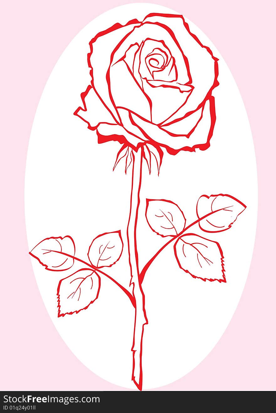 Hand sketched rose.