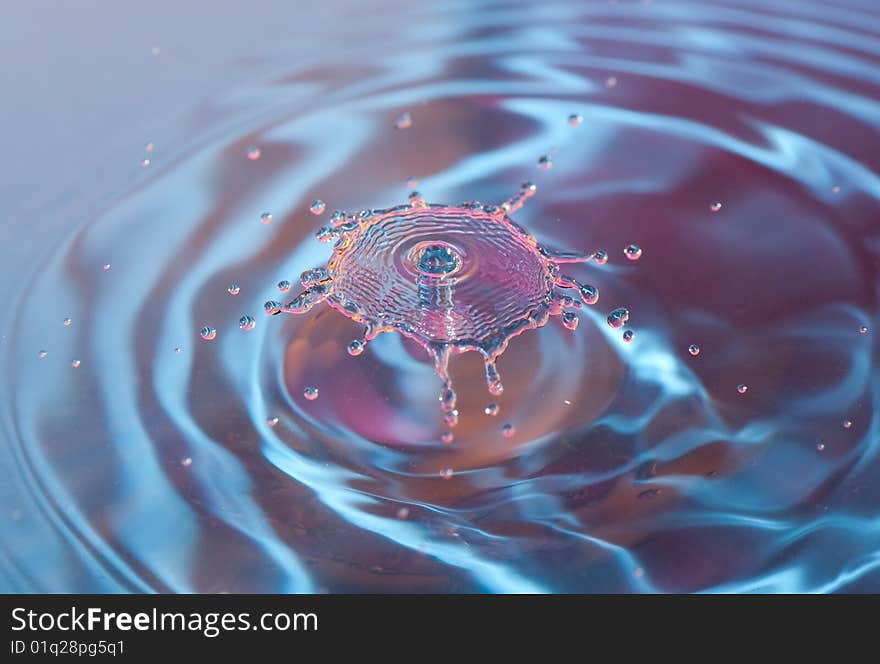 Water drop captured in high speed. Water drop captured in high speed