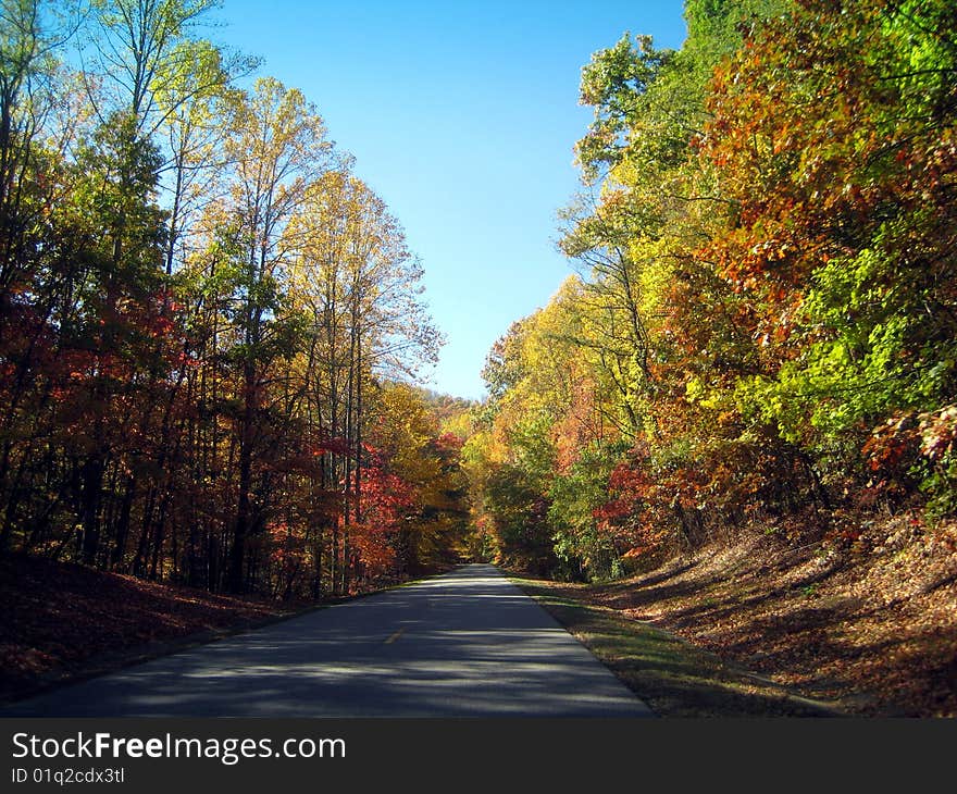 Road through the foliage in Asheville, NC. Road through the foliage in Asheville, NC