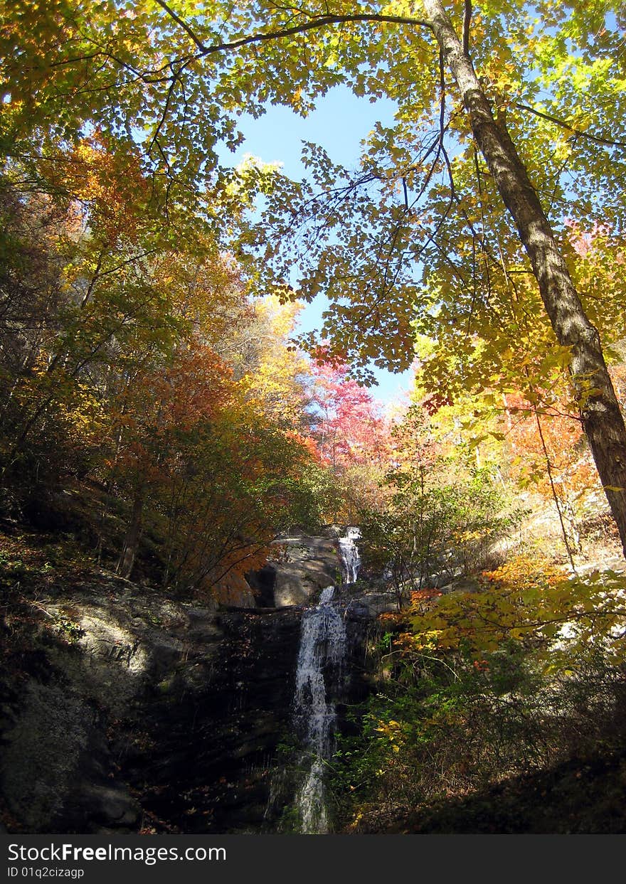 North carolina foliage waterfall leaves. North carolina foliage waterfall leaves