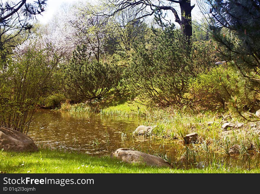 Small pond in the garden