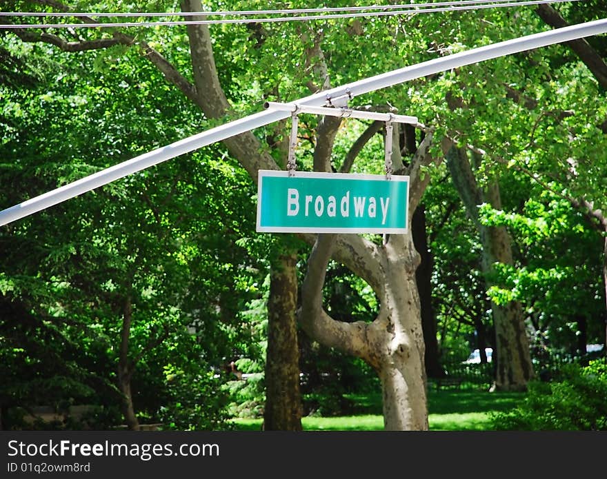 Broadway traffic sign in New York over green leaves. Broadway traffic sign in New York over green leaves