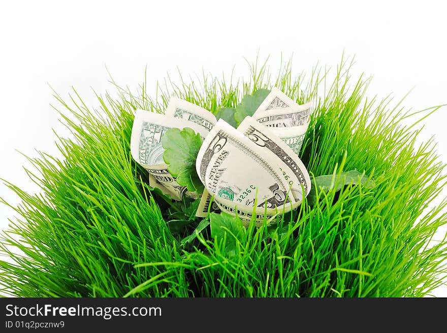 Several banknote folded inside the green grass and leaves. Several banknote folded inside the green grass and leaves