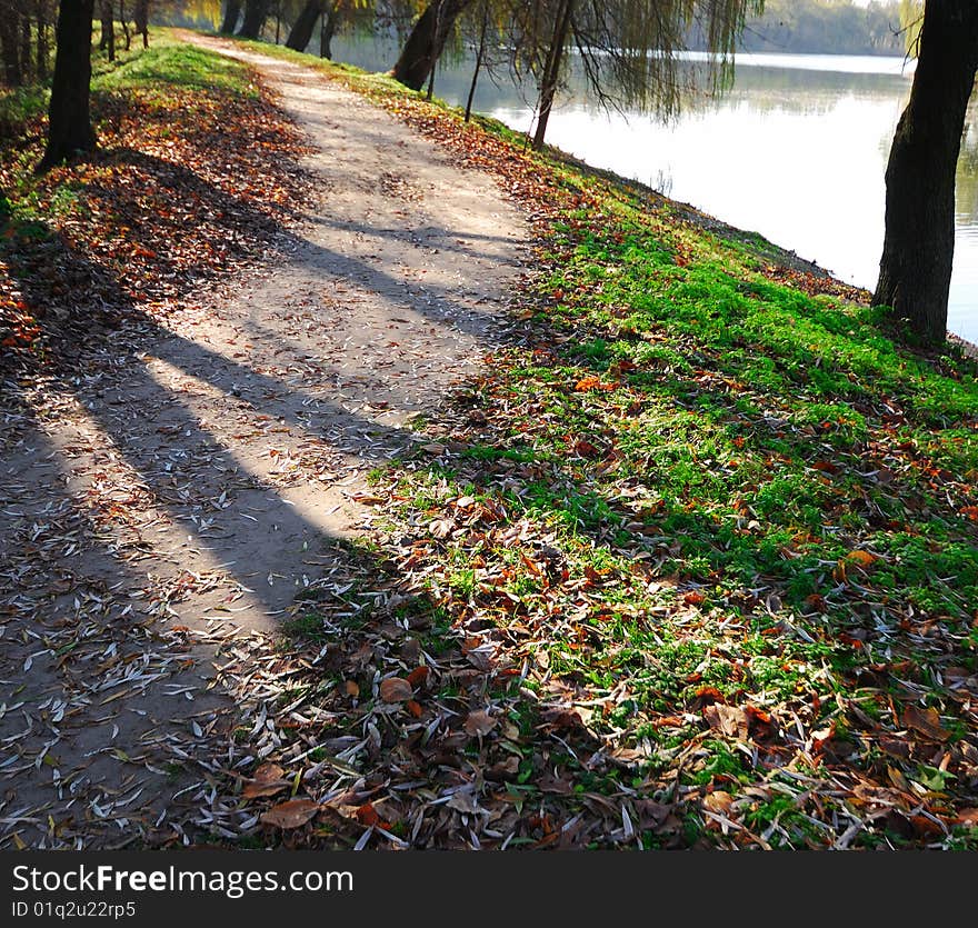 Foot footpath