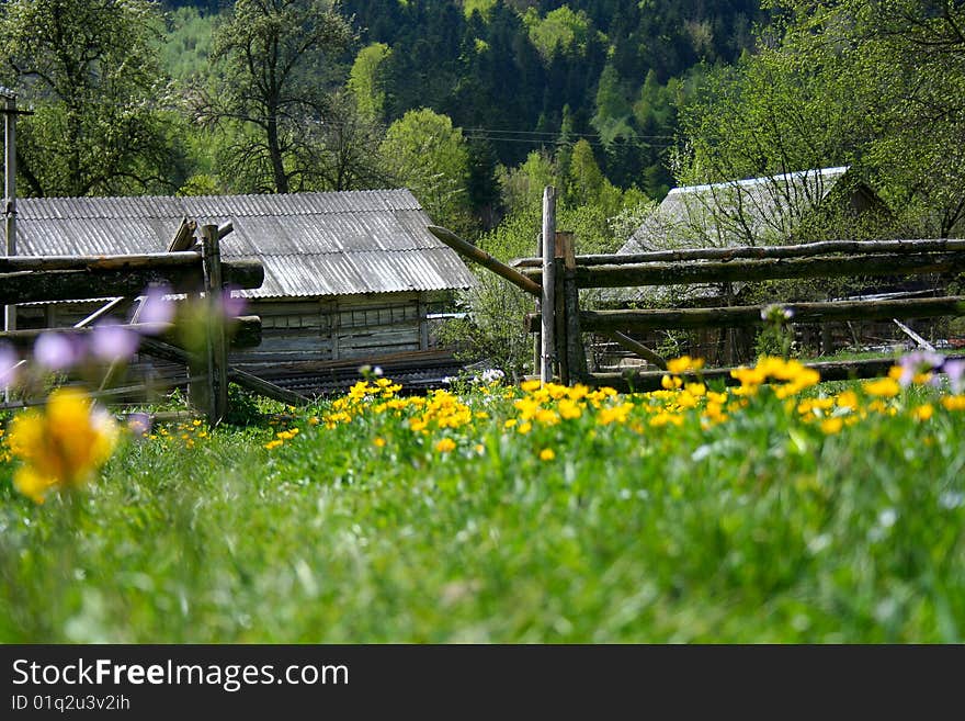 A rural house is an economy in Carpathians