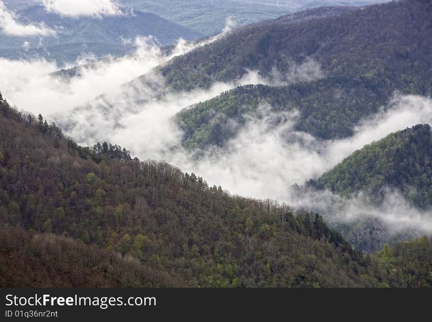 Mountains covered with forests