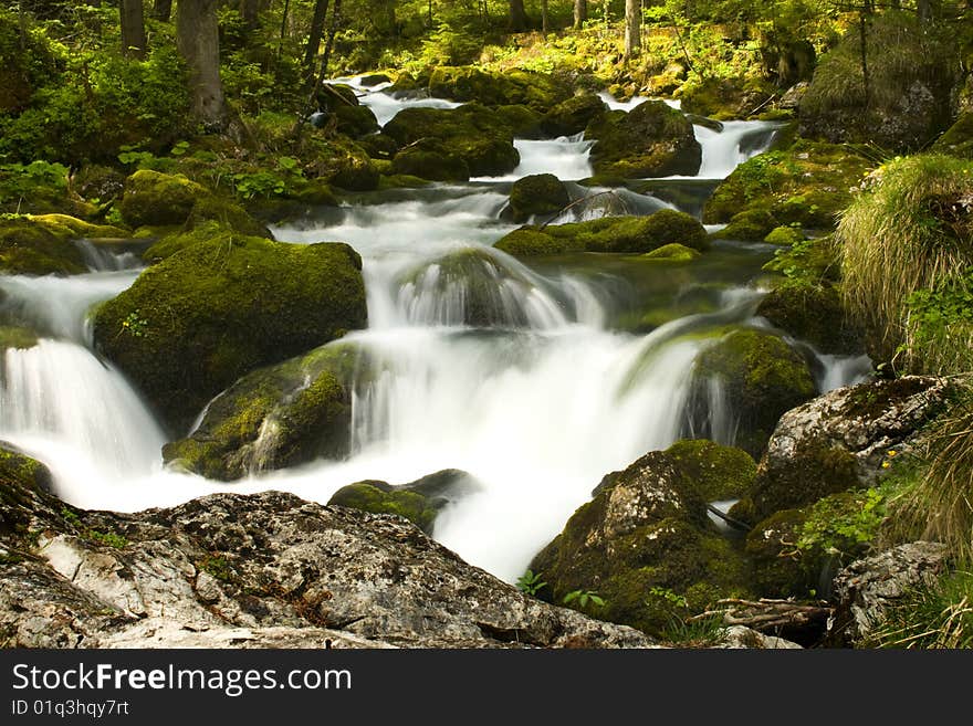 Rapids with stones and moss in the alps