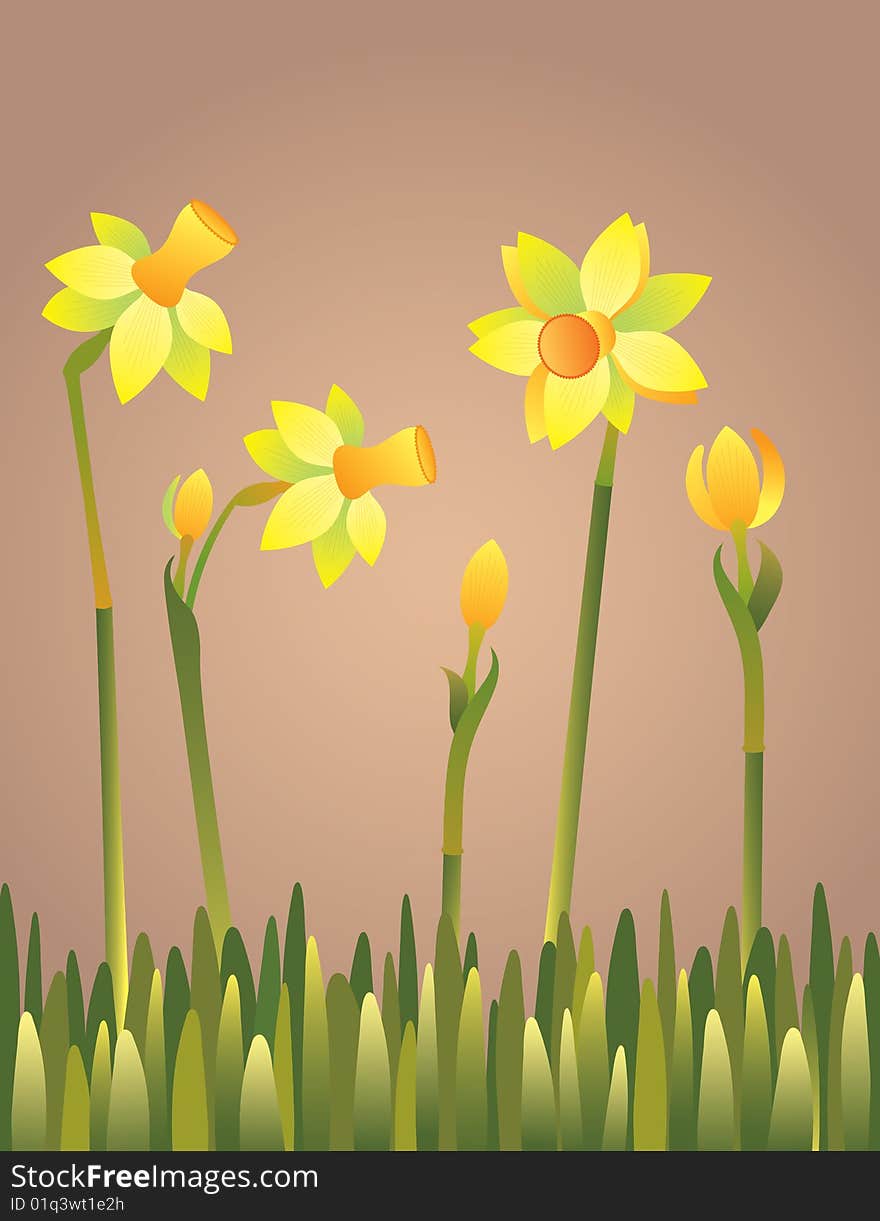 Yellow bright daffodils in green grass