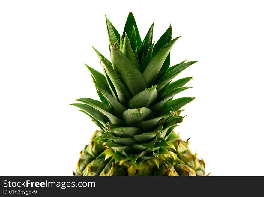 Fresh delicious looking green pineapple fruit on a white background with a clipping path. Fresh delicious looking green pineapple fruit on a white background with a clipping path