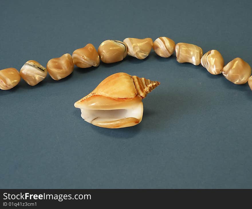 Shell and necklace on blue background