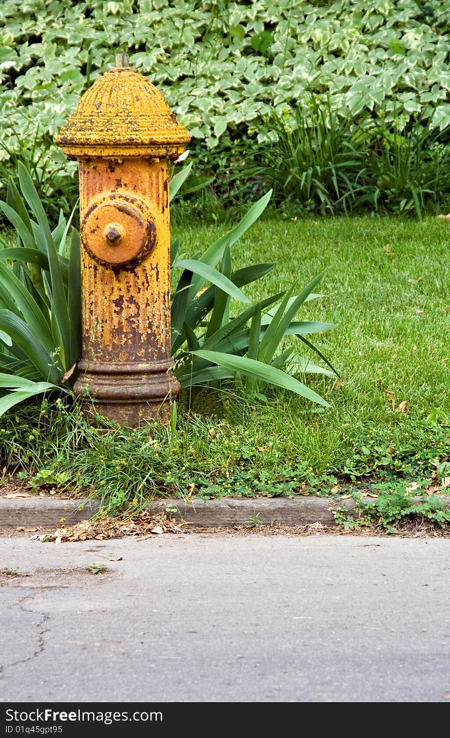 A yellow aged fire hydrant which needs painted and upkeep.