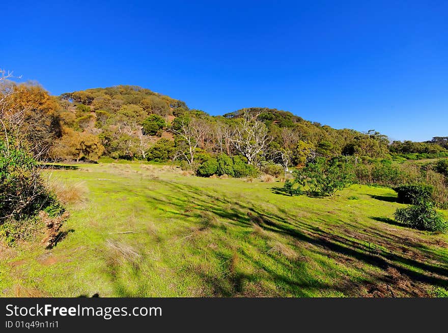 Grass field against blue sky