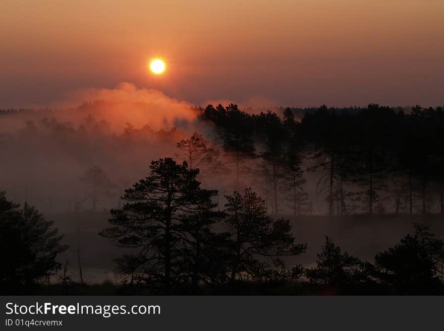 Misty sunrise in Viru Bog