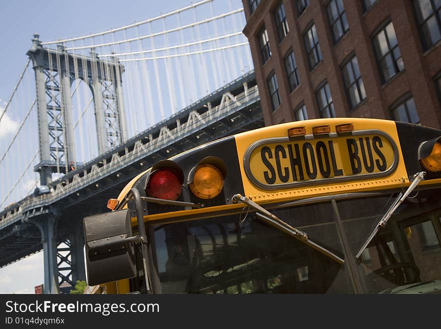 American schoolbus of new york