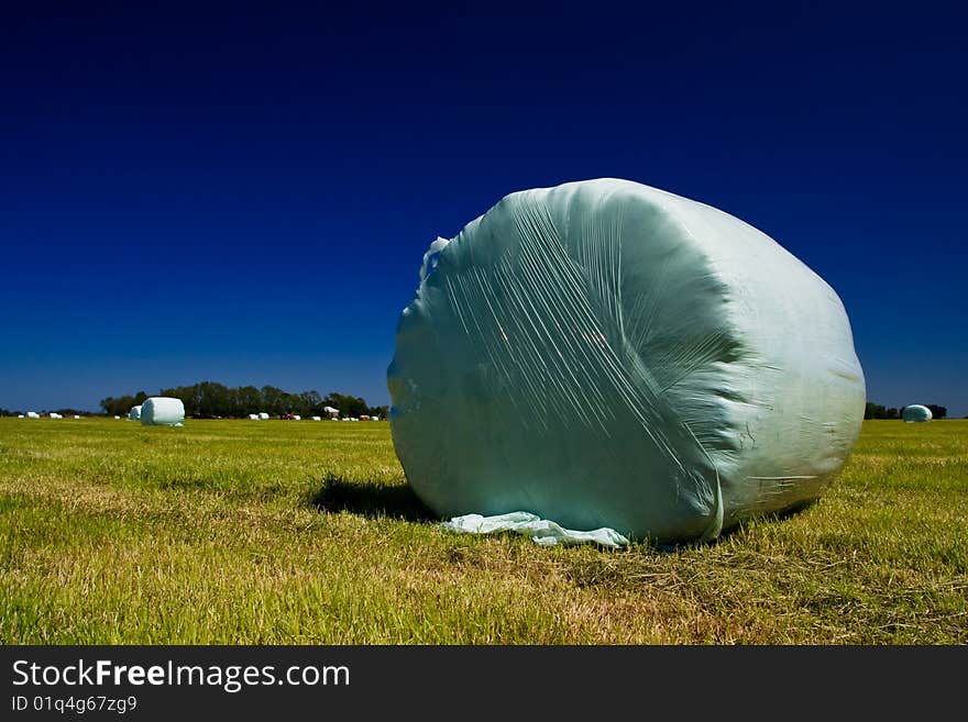 Countryside meadow with hay bale on sunny day