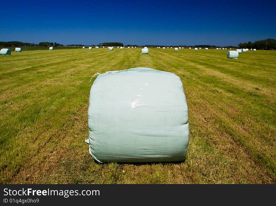 Countryside meadow with hay bale on sunny day