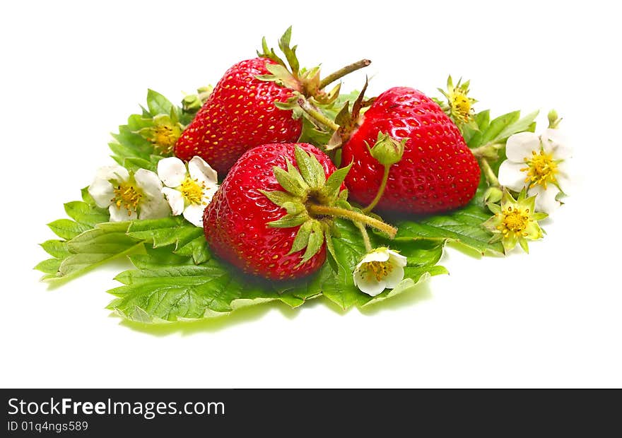 Strawberry and blossom isolated on white background