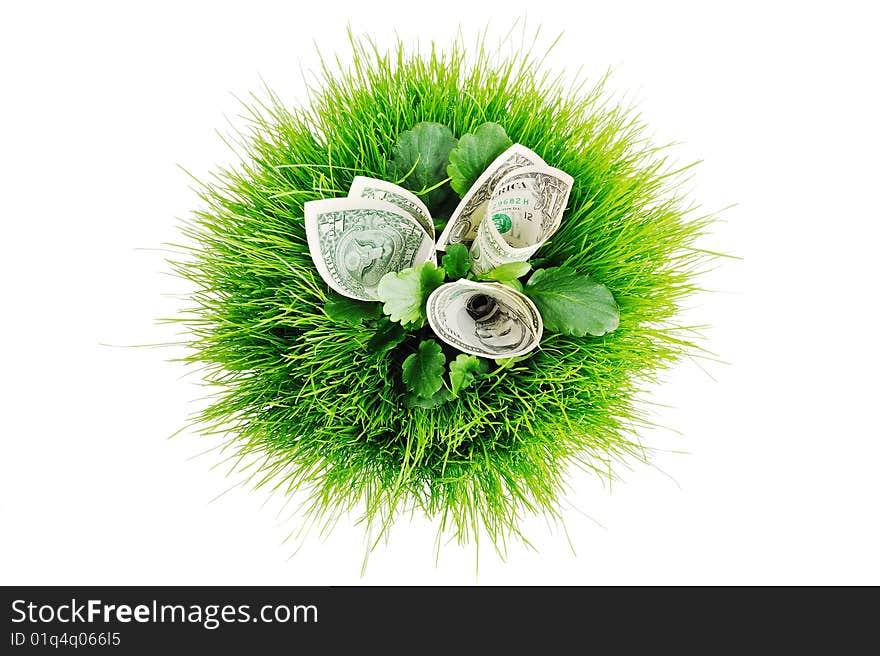 Banknotes in the bright green grass in ball form. Banknotes in the bright green grass in ball form