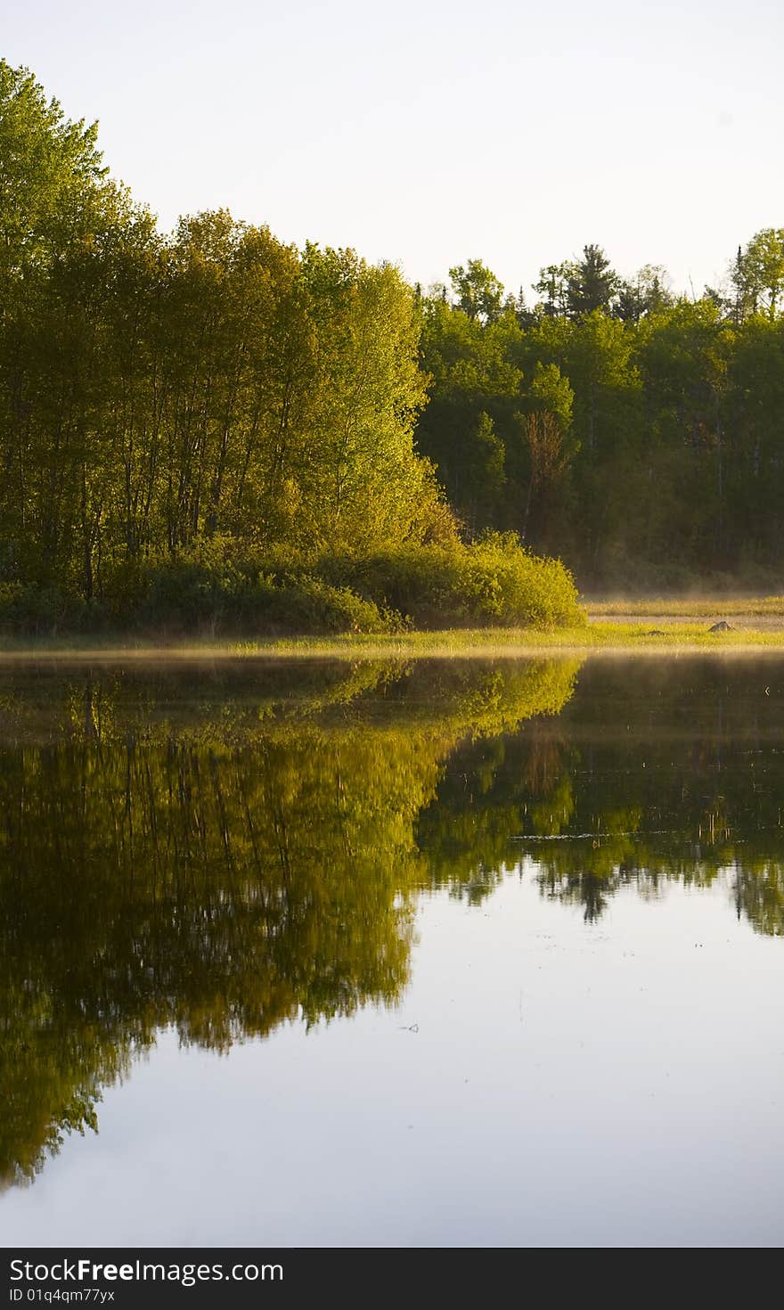 Morning Light On Green Shore