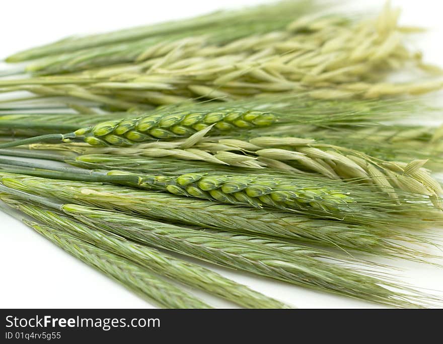 Ears - rye, wheat and  isolated on white background. Ears - rye, wheat and  isolated on white background