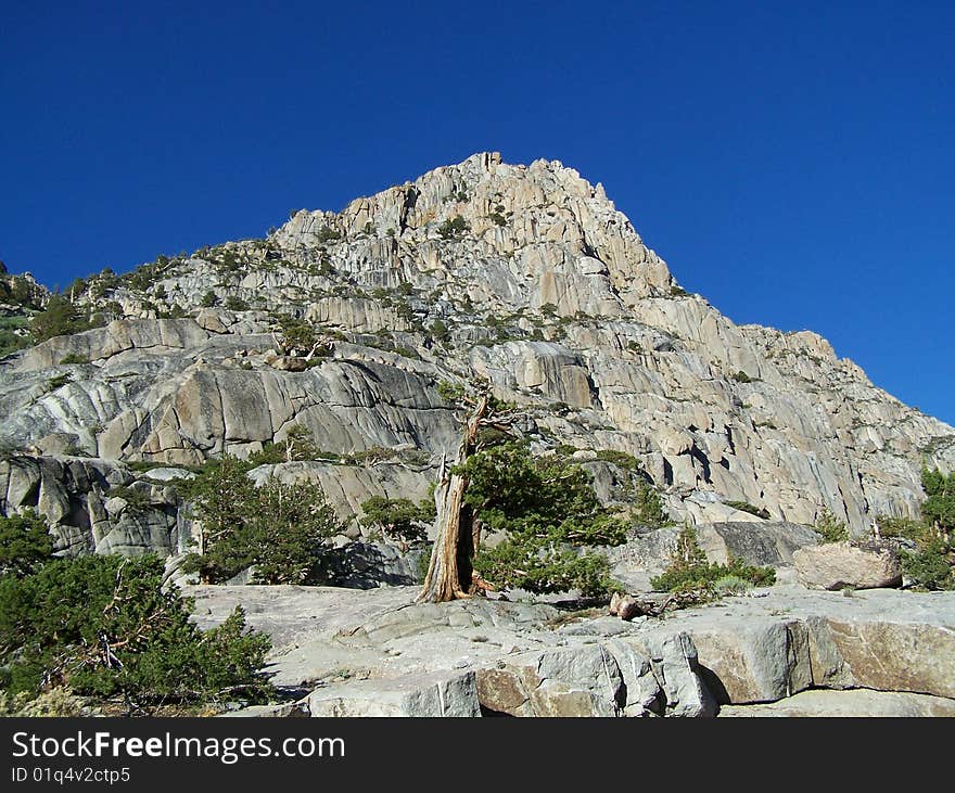 Sierra Nevada Geology