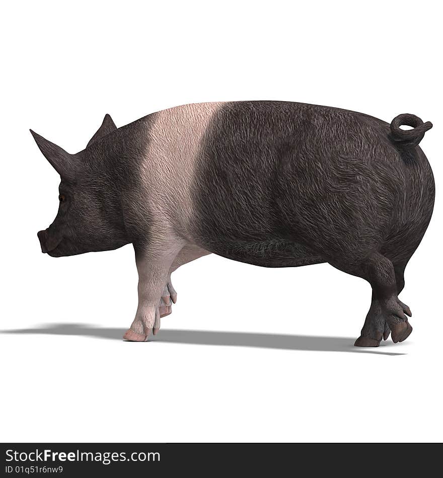 Rendering of a pig with shadow and clipping path over white. Rendering of a pig with shadow and clipping path over white