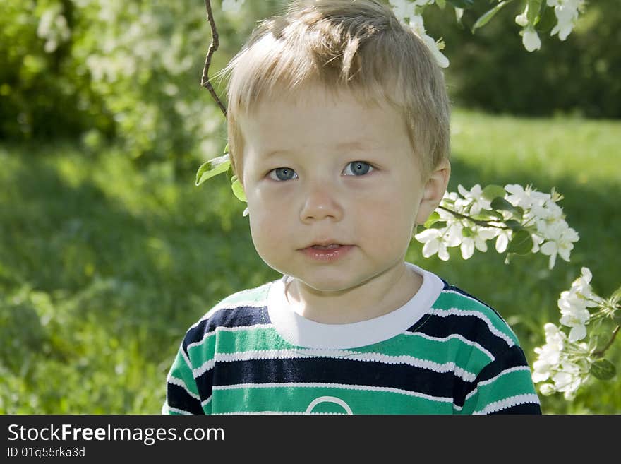 Small boy plays in the playground