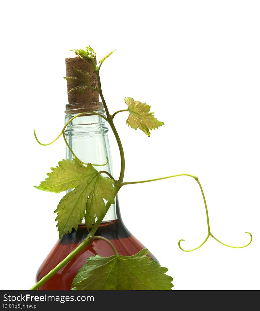 Bottle of red wine with grapevine