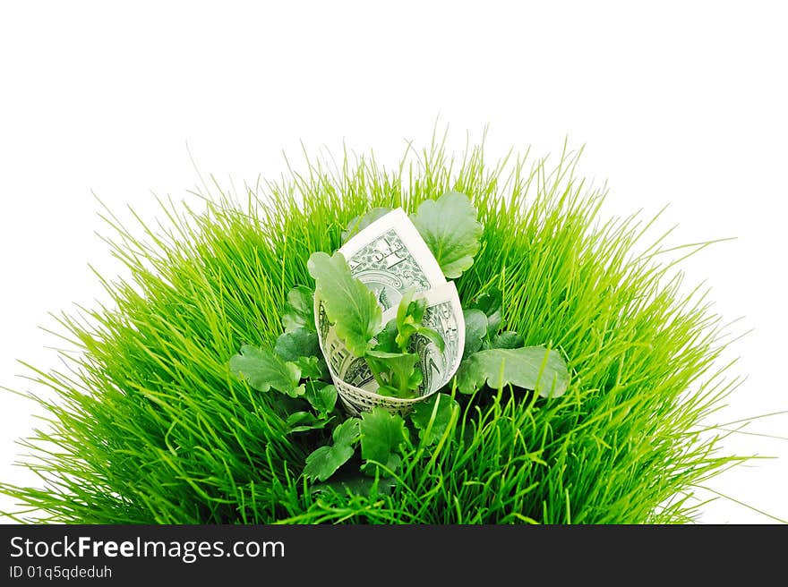 Banknote in the bright green grass with leaves. Banknote in the bright green grass with leaves