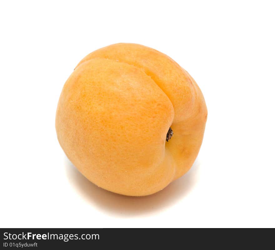 Apricot