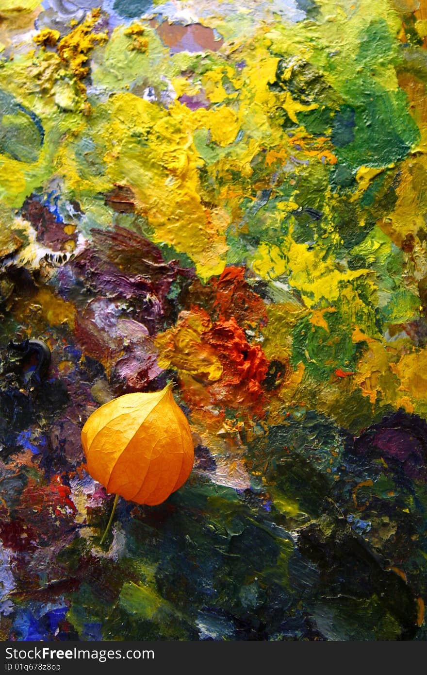 Colorful palette background with physalis. Colorful palette background with physalis