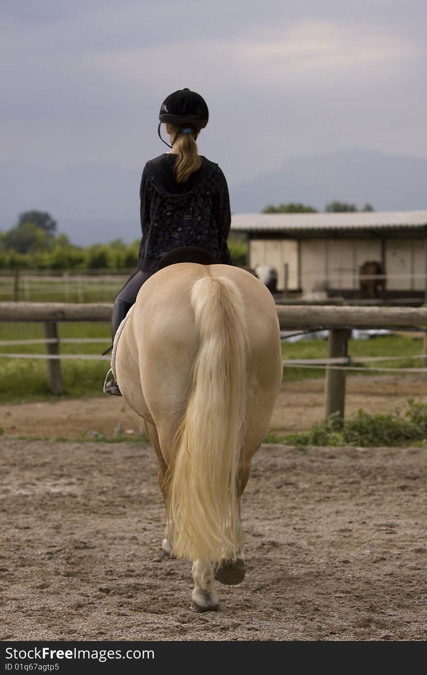 Schoolgirl with ponytail to be mounted a Horse. Schoolgirl with ponytail to be mounted a Horse