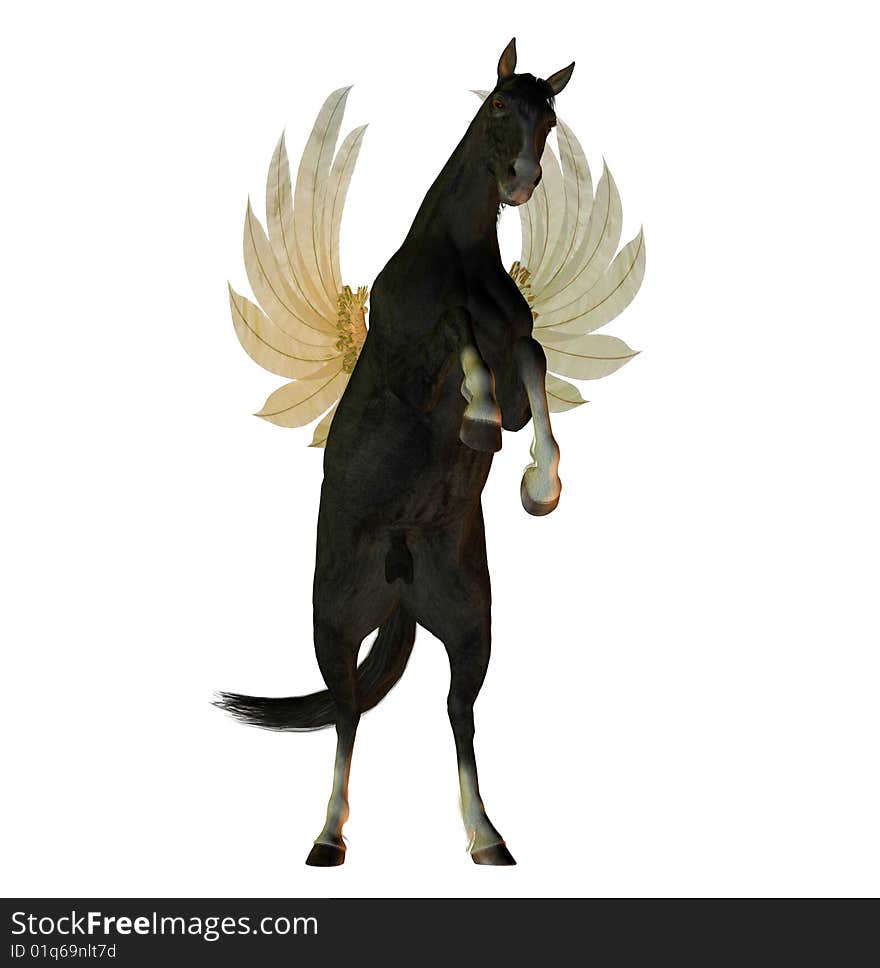 Black stallion with wings