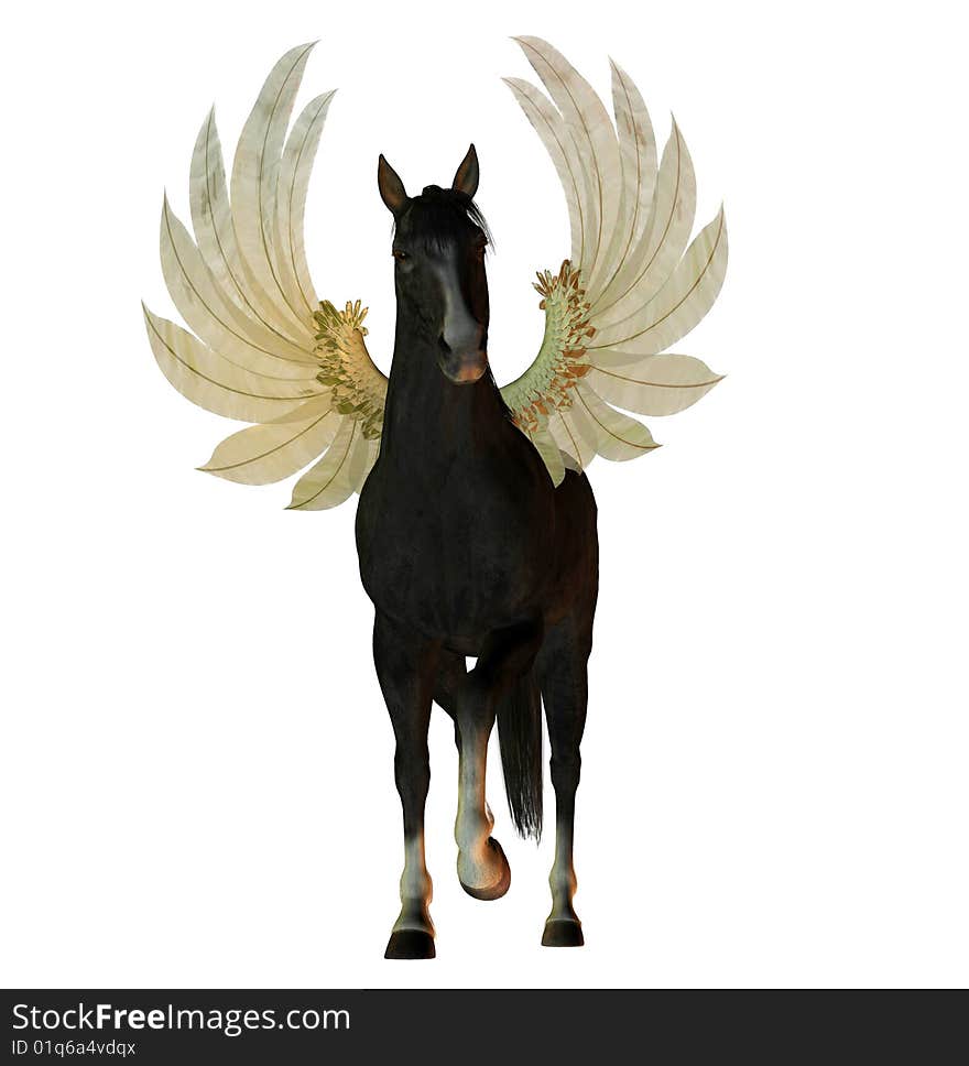 Black stallion with wings