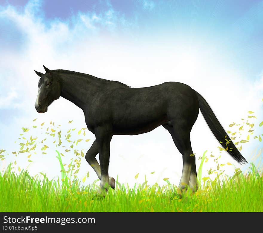 Free Black stallion in the green meadow