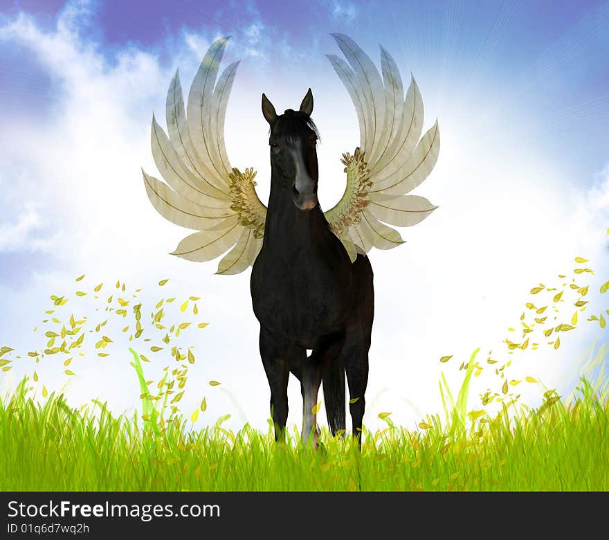 Black stallion with wings