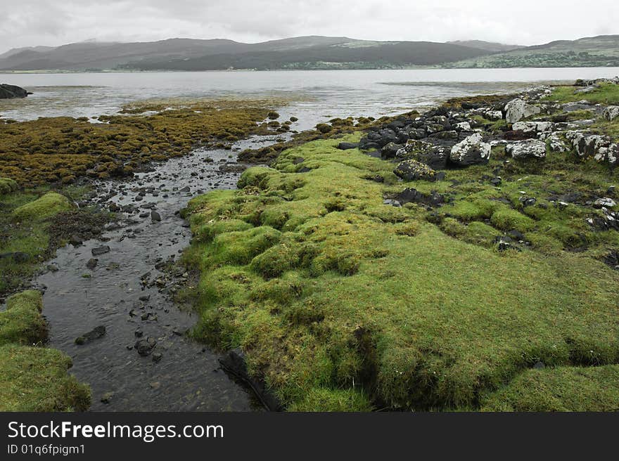 Coastal landscape