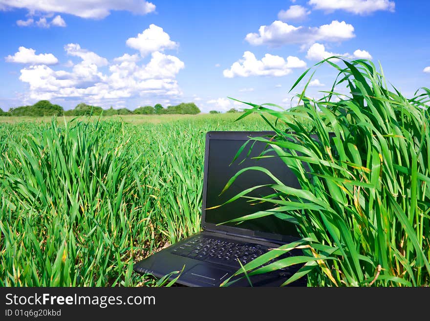 Laptop computer on the green grass and blue sky