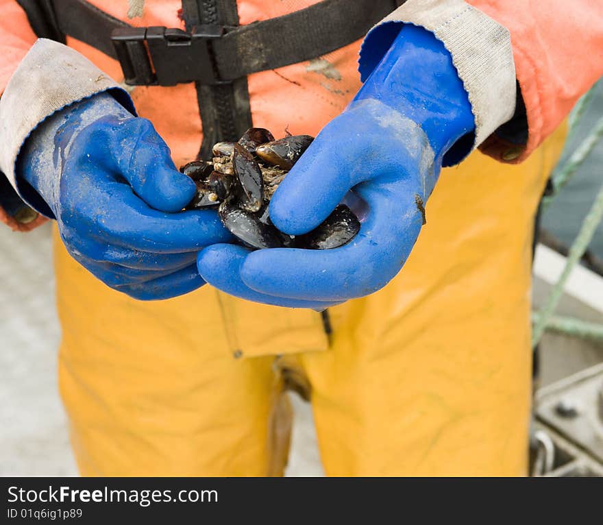 Showing mussels