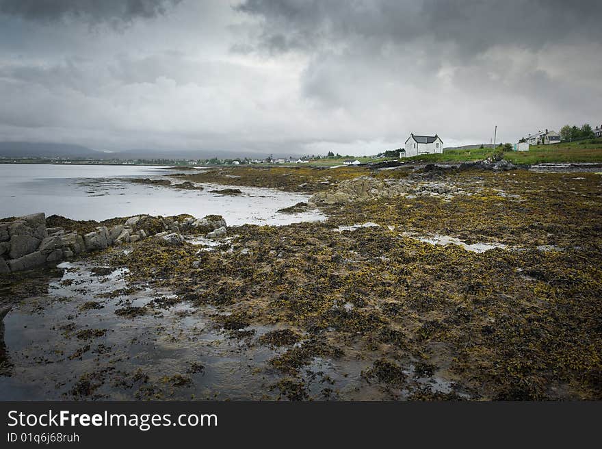 Seascape with kelp and rocks near Broadford, Scotland