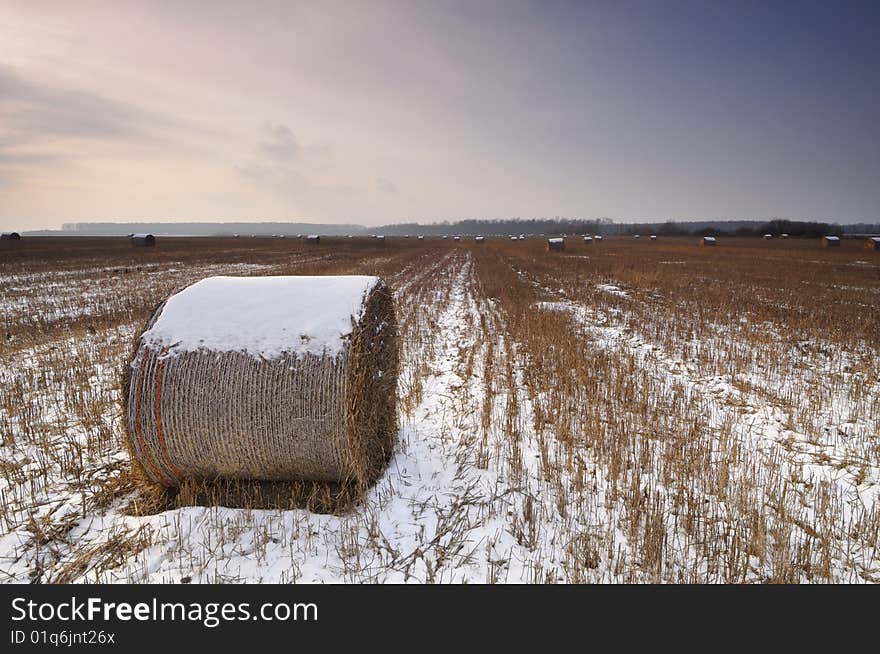 Snow on the plain under gloomily sky. Snow on the plain under gloomily sky