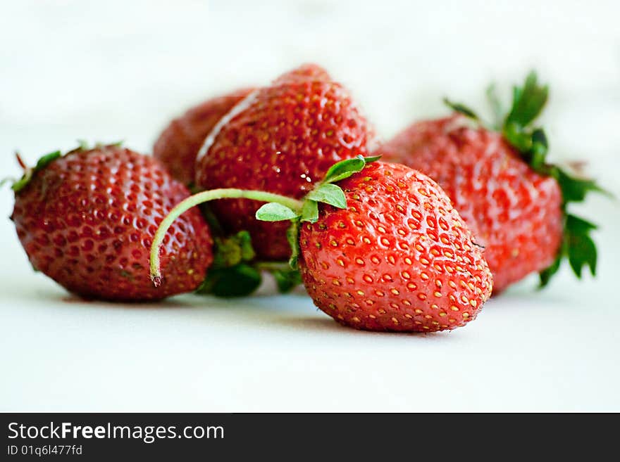 Wild strawberries plant with green leaves on white background