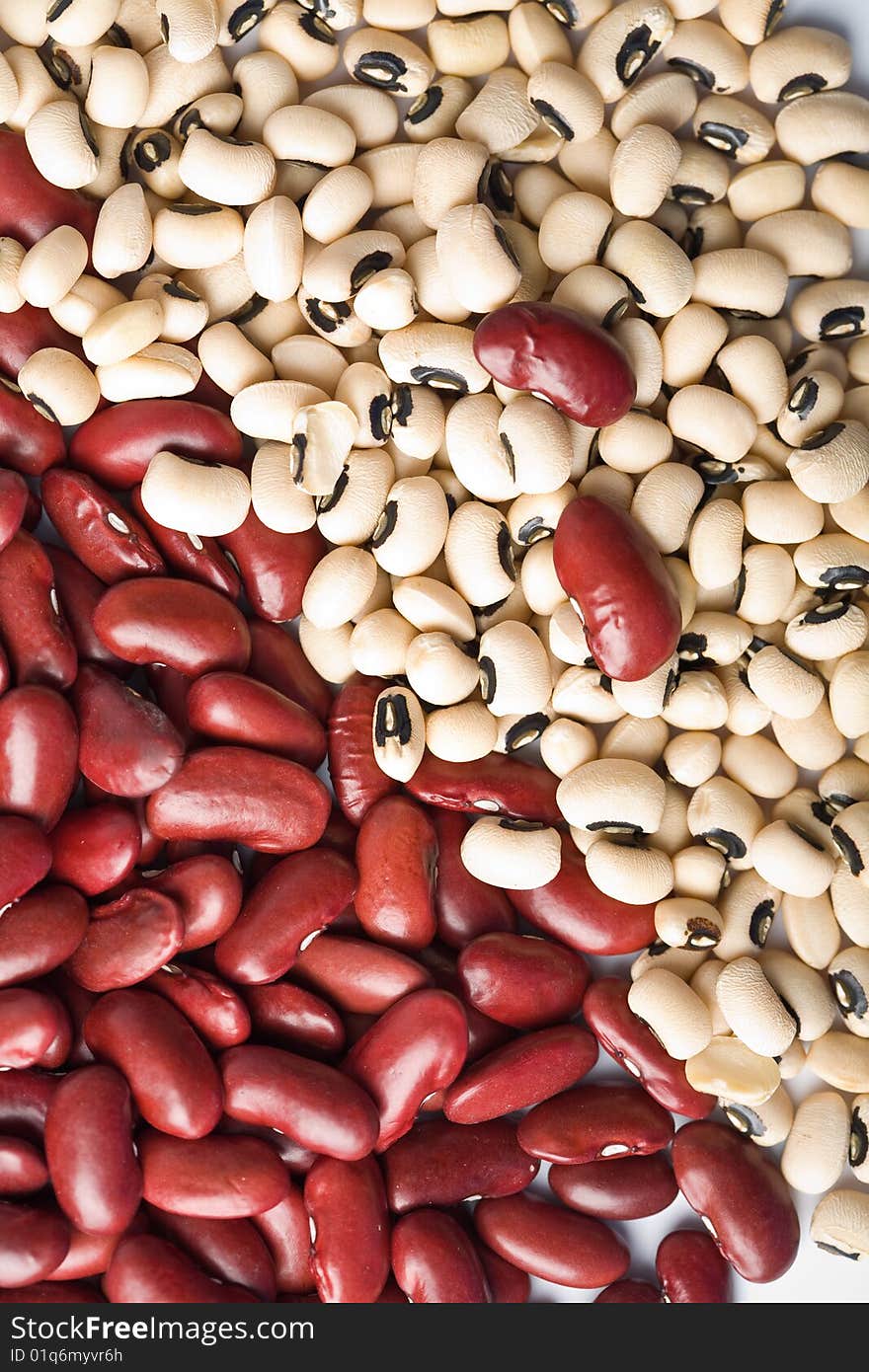 Red and white haricot beans