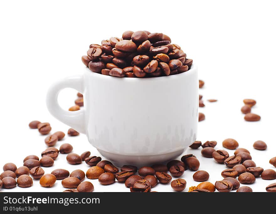 Coffee Seed and White Cup. Coffee Seed and White Cup