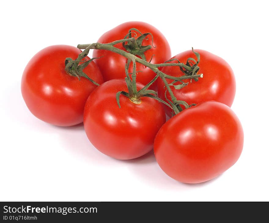 Branch of tomatoes on white background