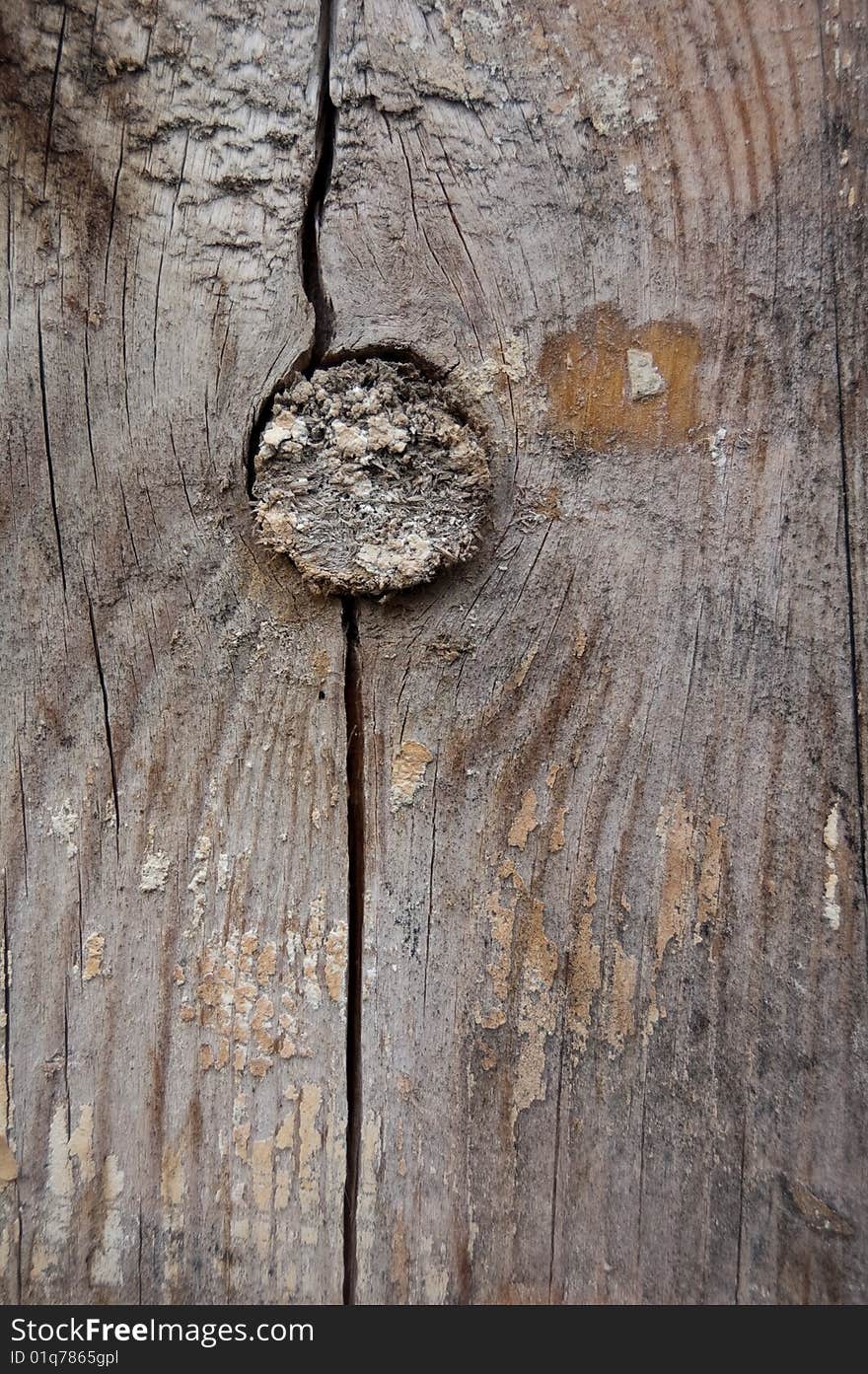 Wood texture extreme closeup, selective focus