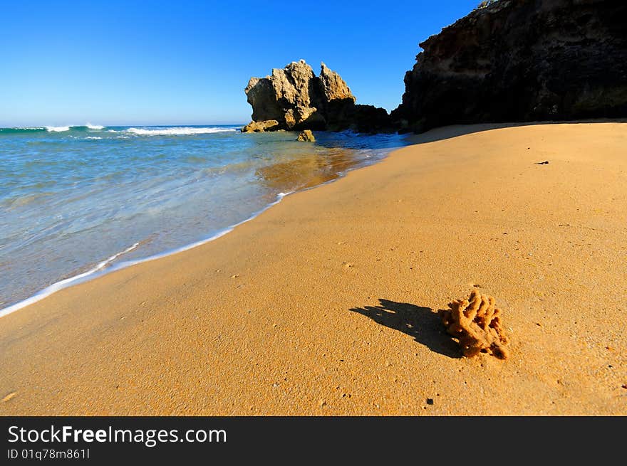 Scenic beach with coral and cliff