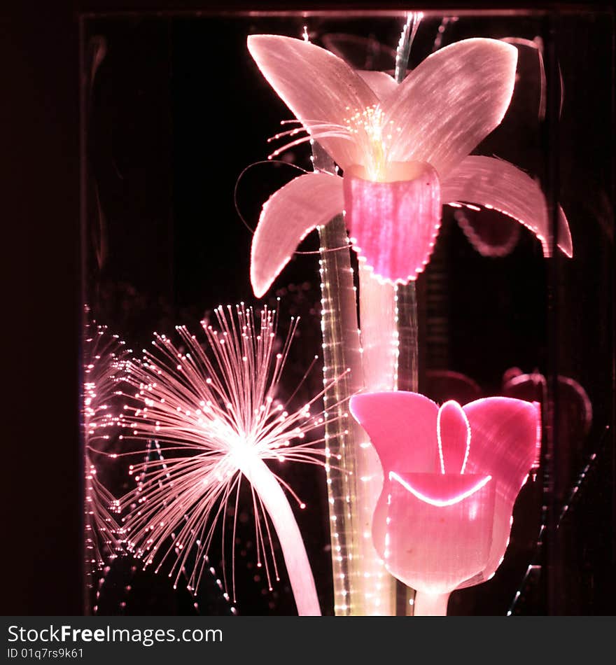 Pink Fiber Optic Flowers