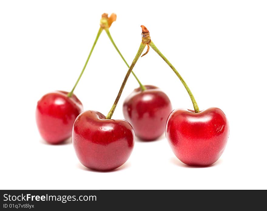 Red cherry against white background