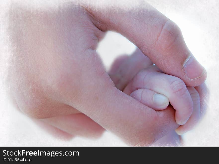 Infant gripping an adult's hand. Infant gripping an adult's hand.